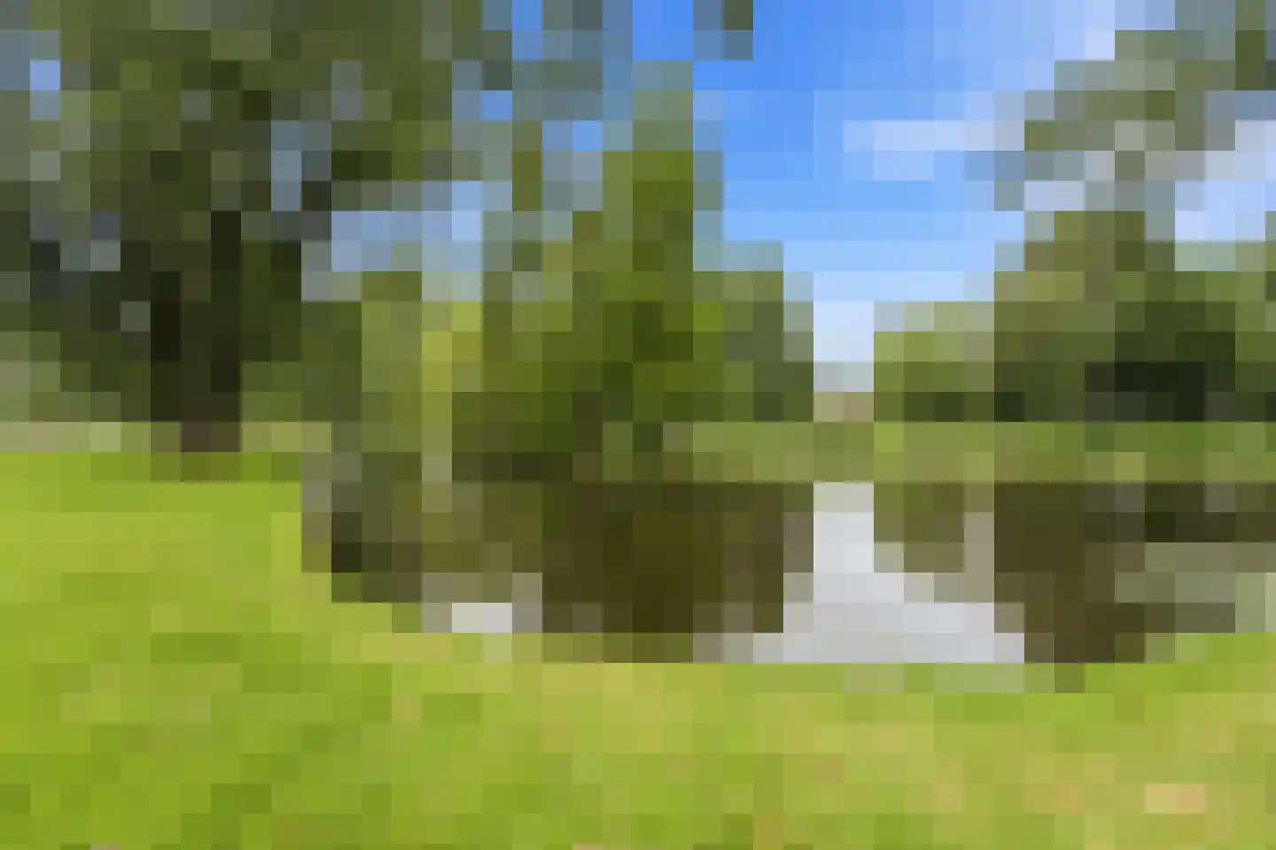 Willaertpad 2 Rotterdam thumbnail 14
