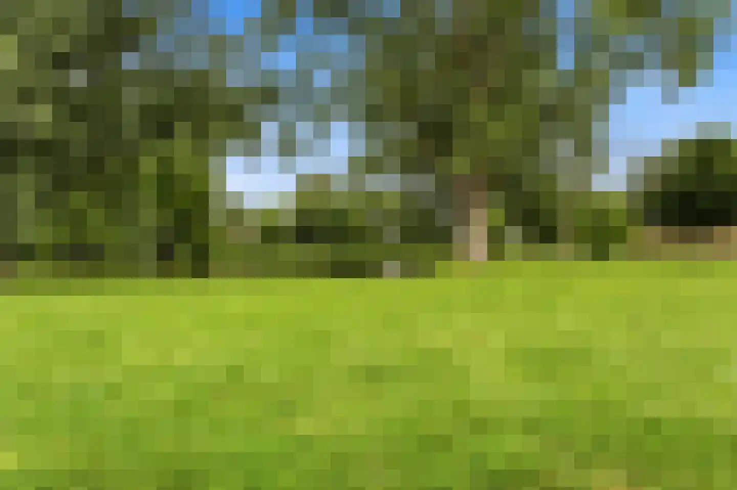 Willaertpad 2 Rotterdam thumbnail 31