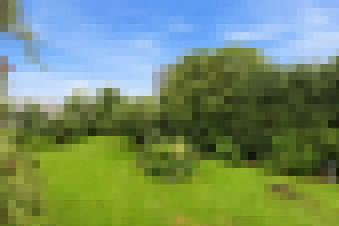 Willaertpad 2 Rotterdam thumbnail 37