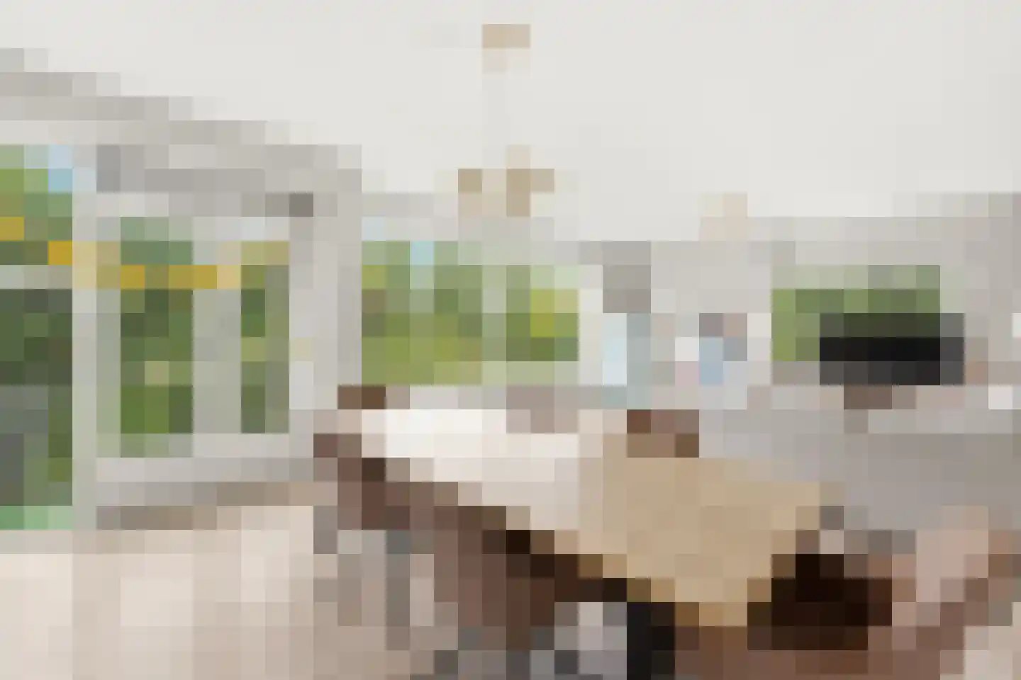 Willaertpad 2 Rotterdam thumbnail 7