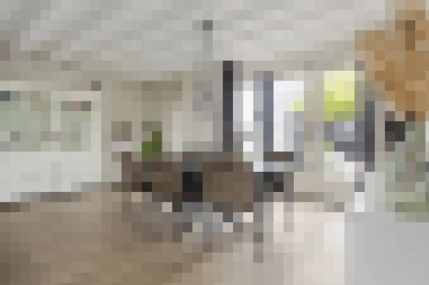 Willaertpark 36 Waalwijk thumbnail 12