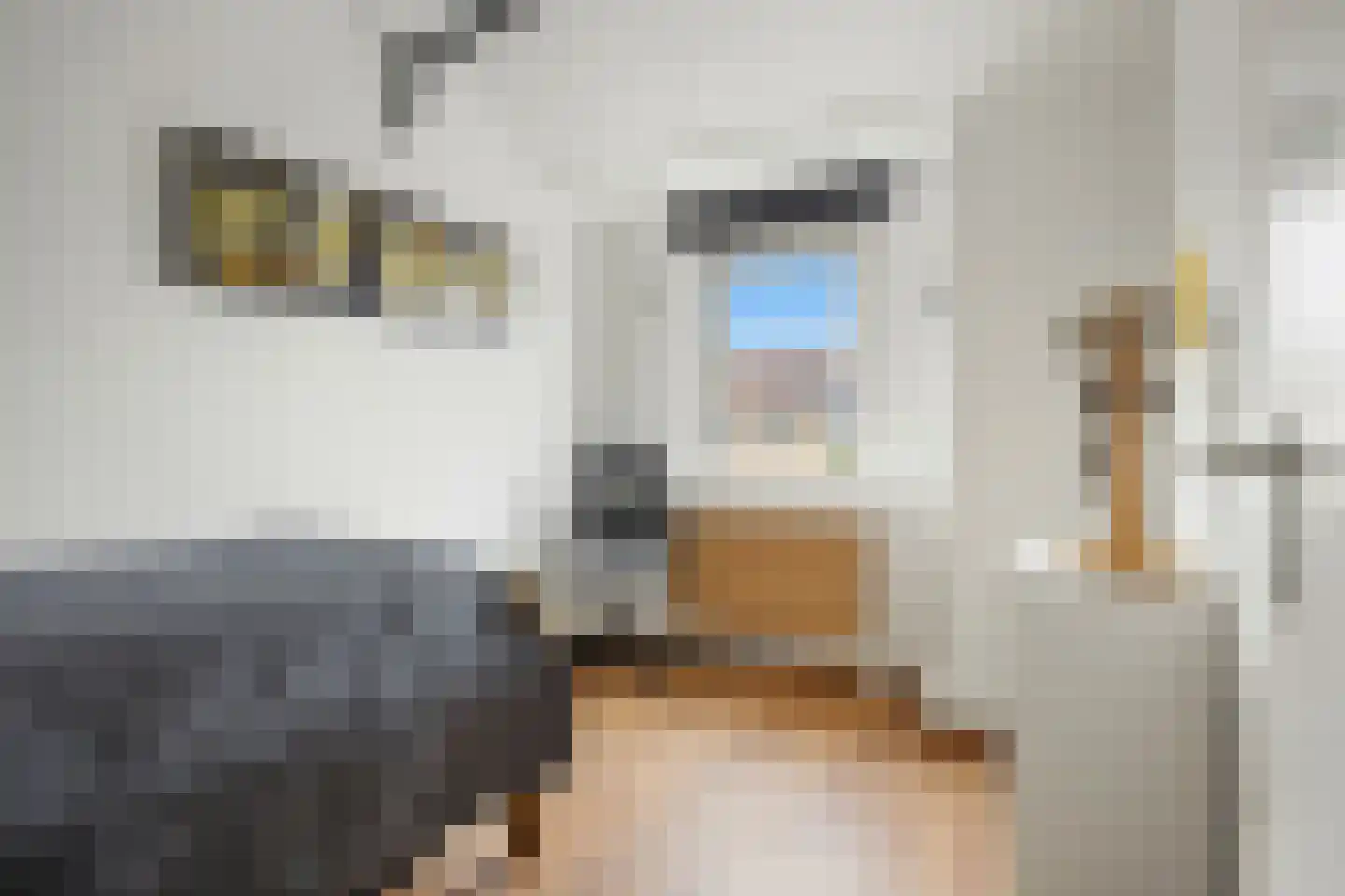 Willaertpark 36 Waalwijk thumbnail 34