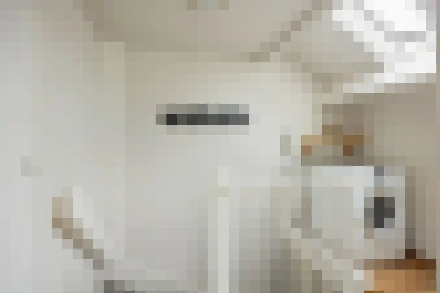 Willaertpark 36 Waalwijk thumbnail 36