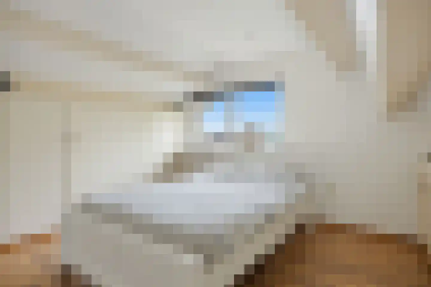 Willaertpark 36 Waalwijk thumbnail 38