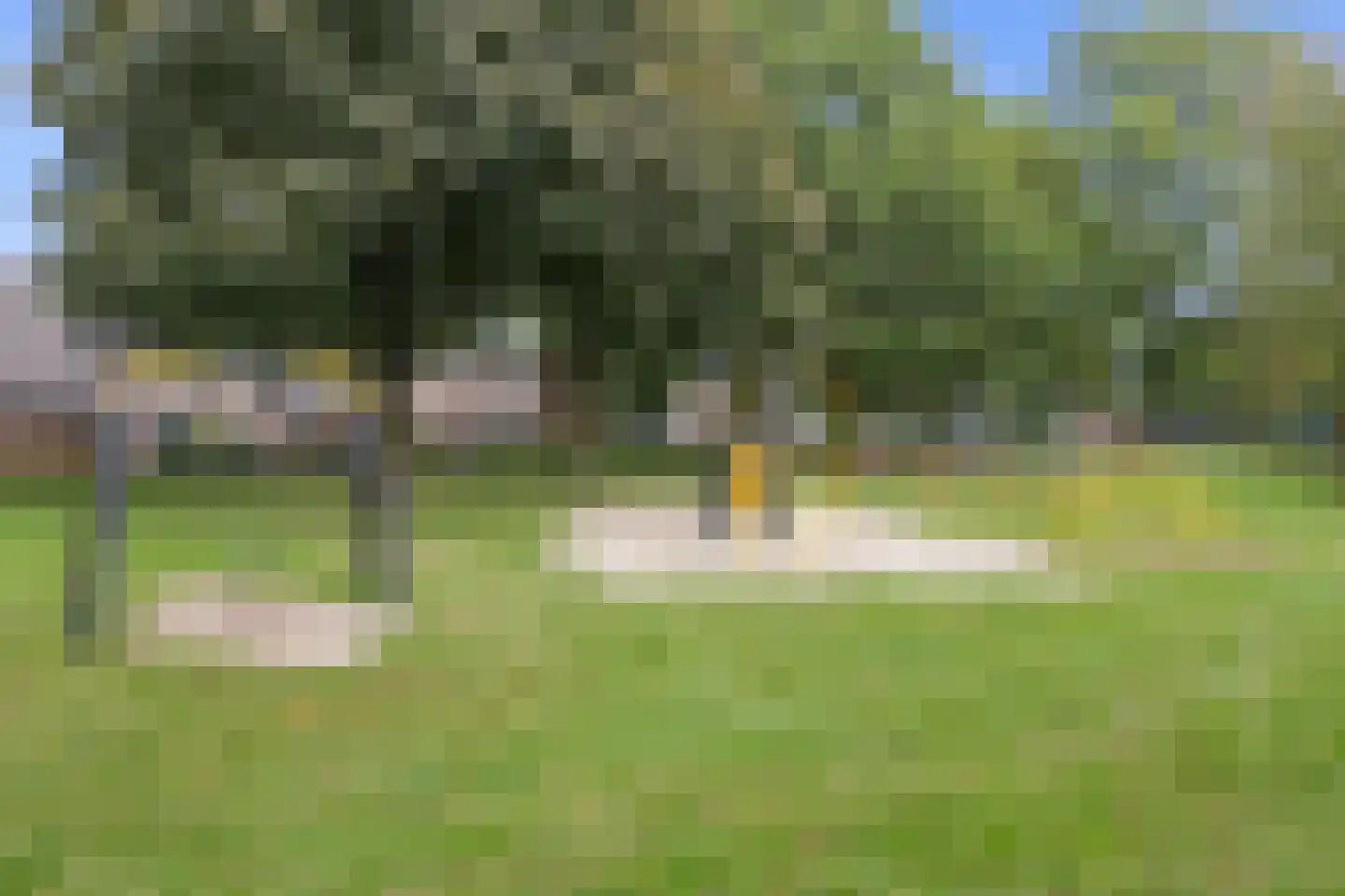 Willaertpark 36 Waalwijk thumbnail 45