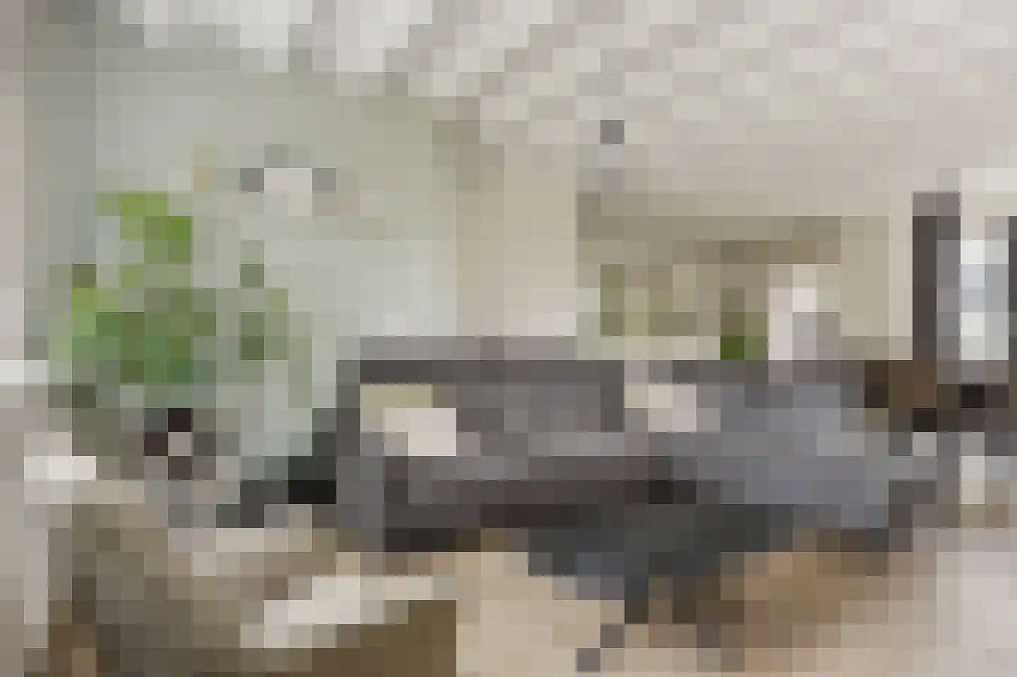 Willaertpark 36 Waalwijk thumbnail 9
