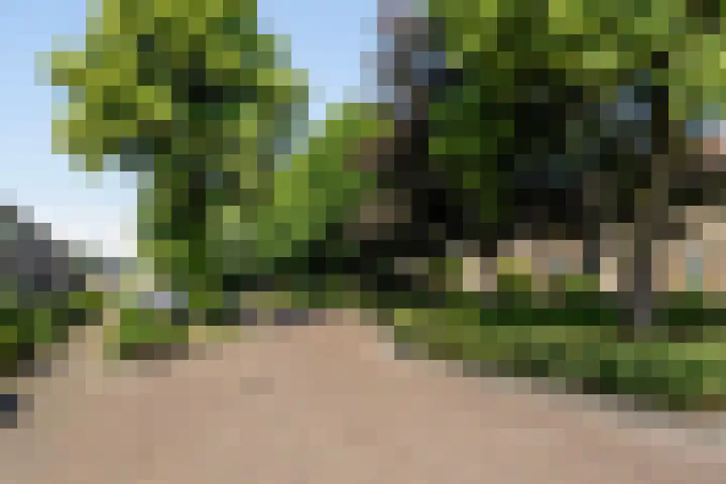 Willaertpark 44 Waalwijk thumbnail 40