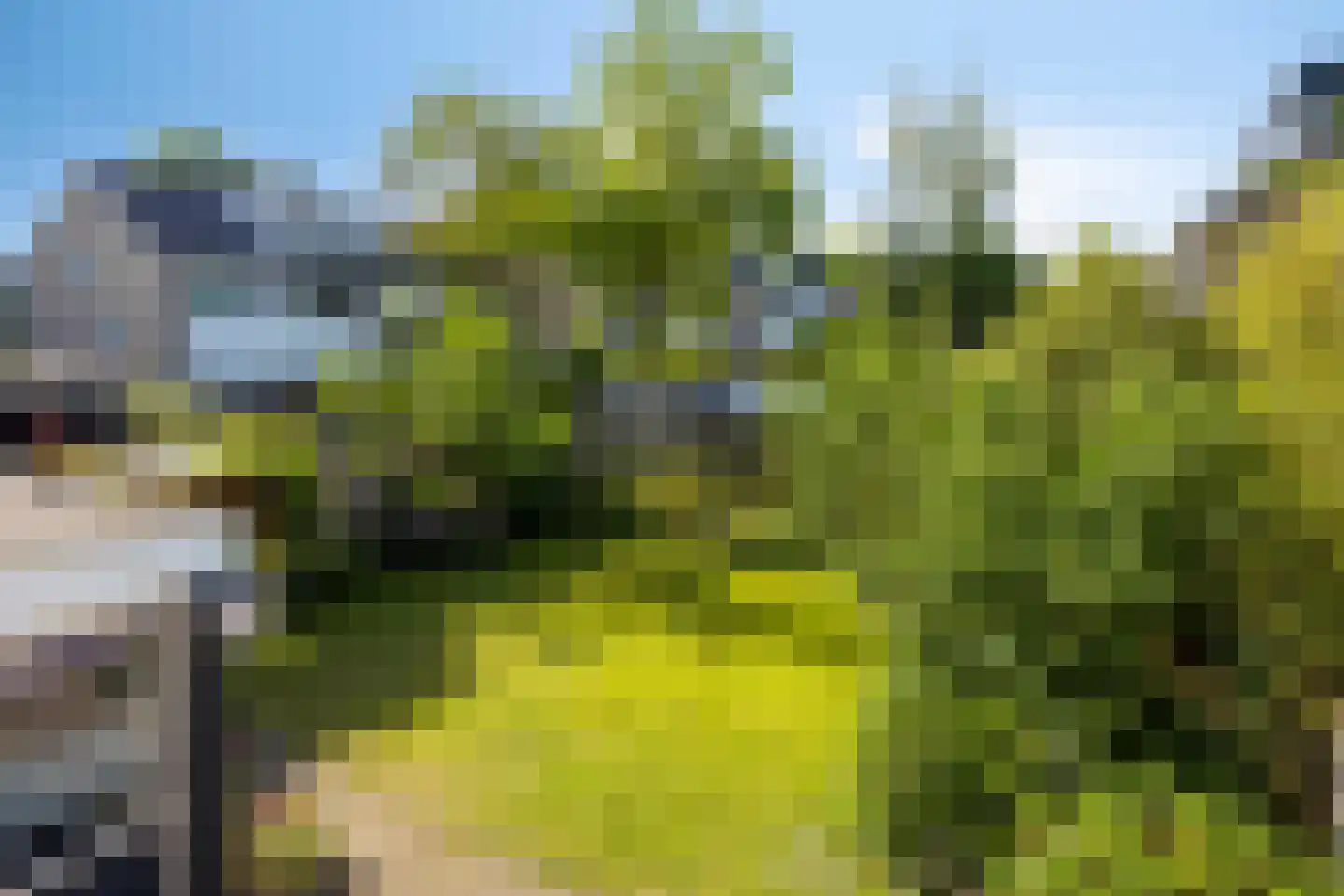 Willaertsingel 3 Vught thumbnail 27