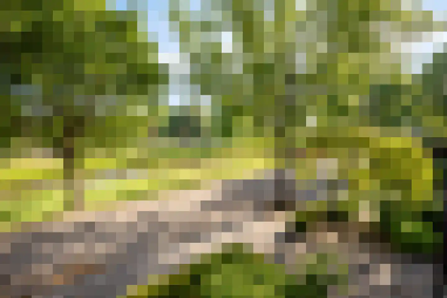 Willaertsingel 3 Vught thumbnail 37