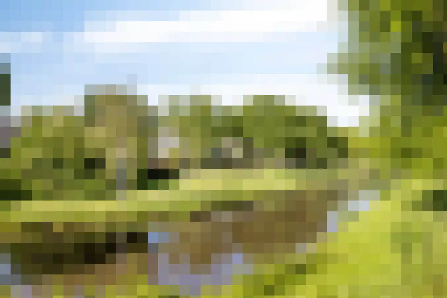 Willaertsingel 3 Vught thumbnail 39
