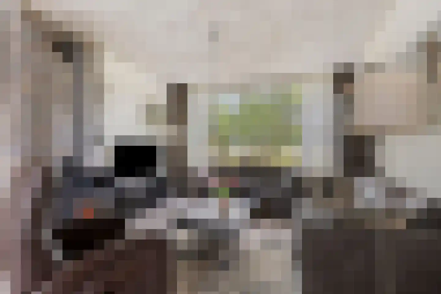 Willaertsingel 3 Vught thumbnail 4
