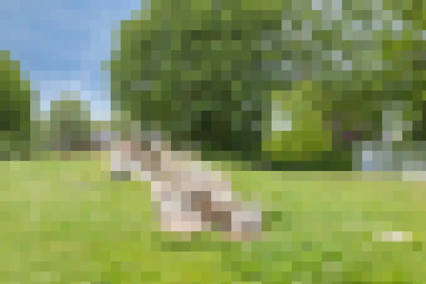 Willaertsingel 3 Vught thumbnail 45