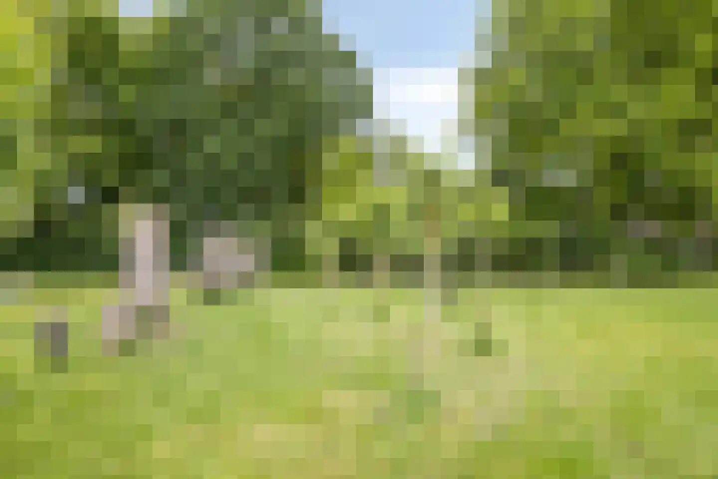 Willaertsingel 3 Vught thumbnail 46
