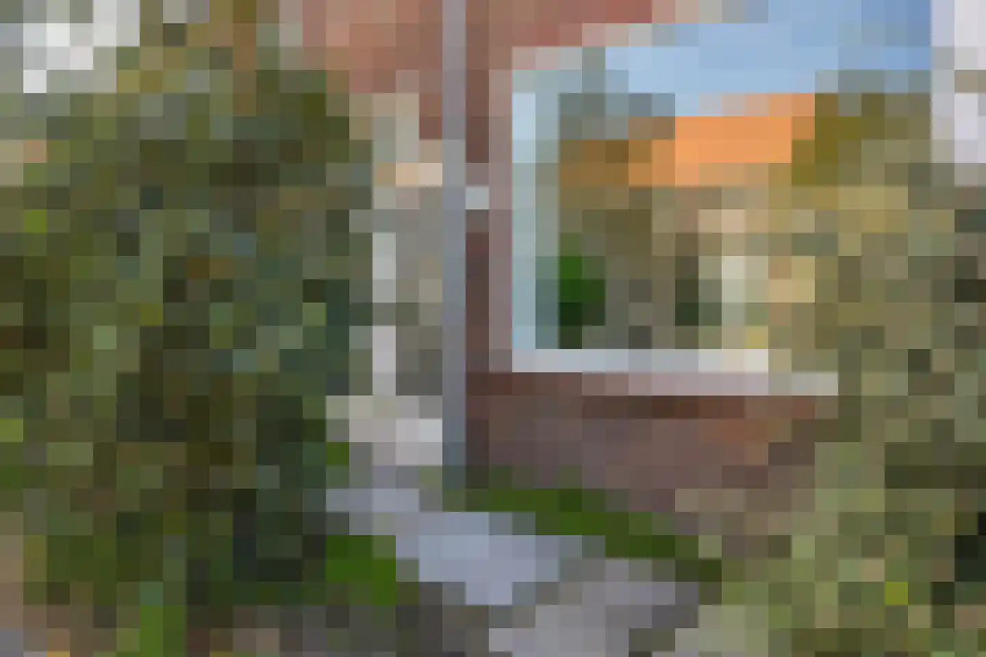 Willaertstraat 1 Dordrecht thumbnail 6
