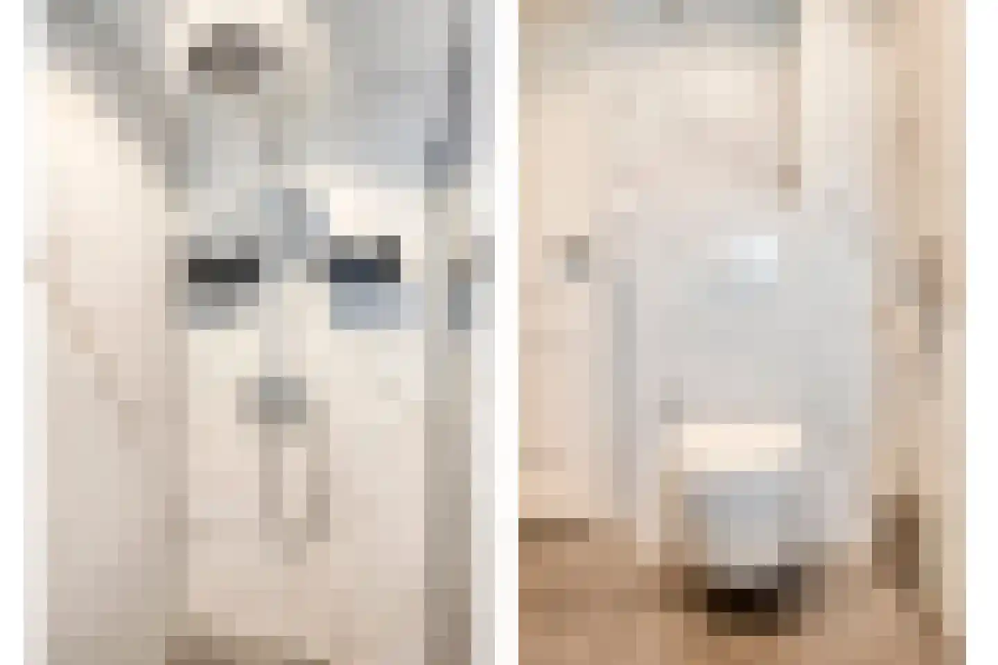 Willaertstraat 10 Soest thumbnail 21