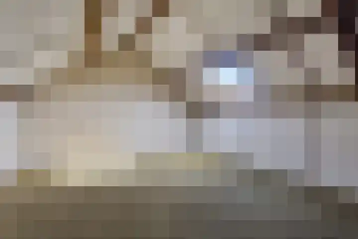 Willaertstraat 24 Soest thumbnail 30