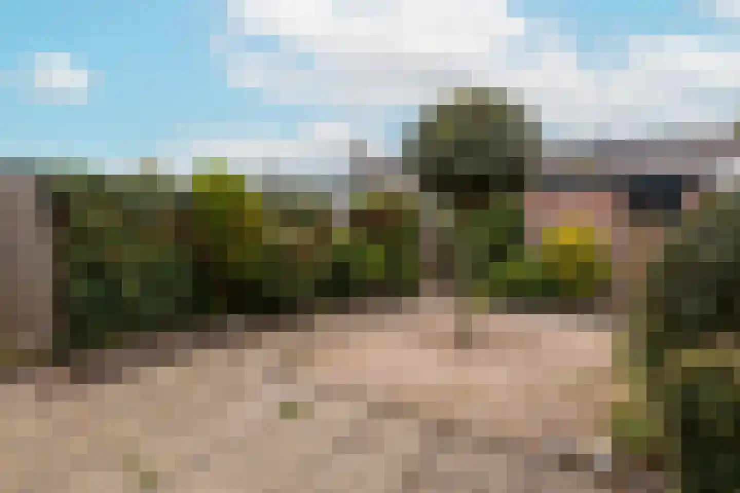 Willaertstraat 33 Soest thumbnail 12