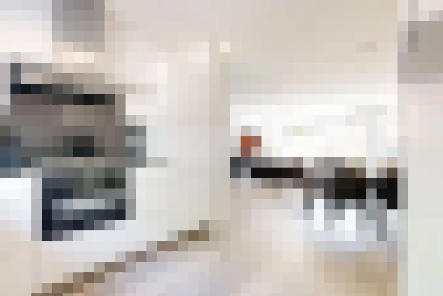 Willame Naghelstraat 7 Voorhout thumbnail 13