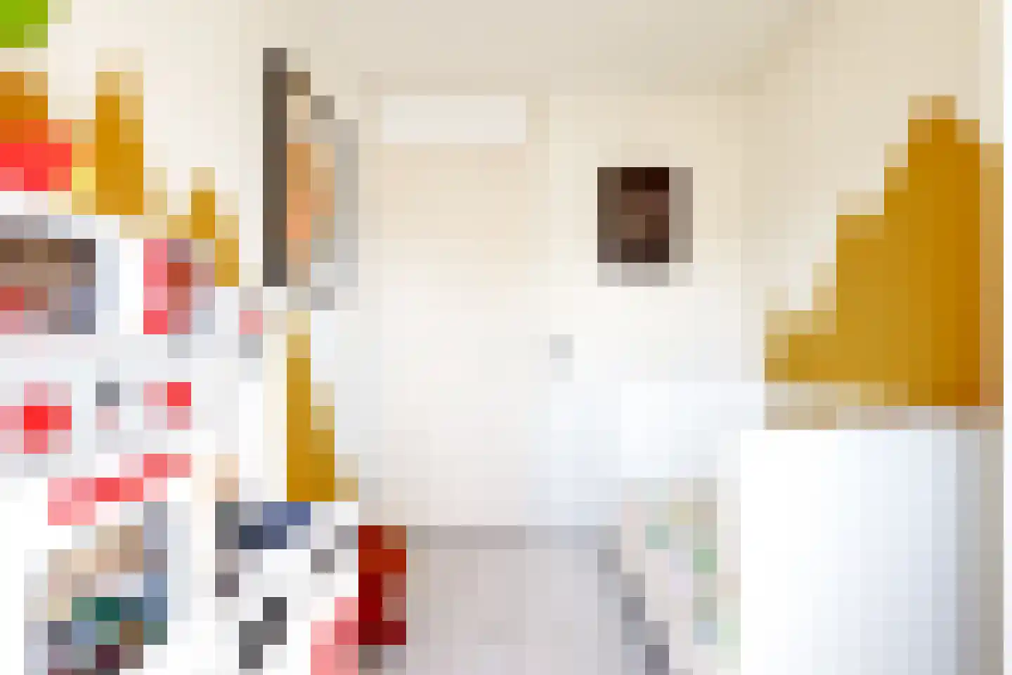 Willame Naghelstraat 7 Voorhout thumbnail 18
