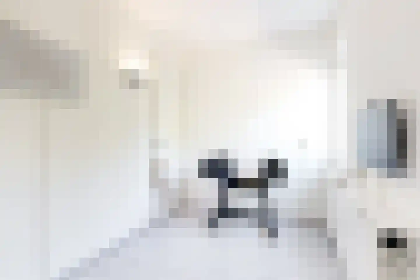 Willame Naghelstraat 7 Voorhout thumbnail 28