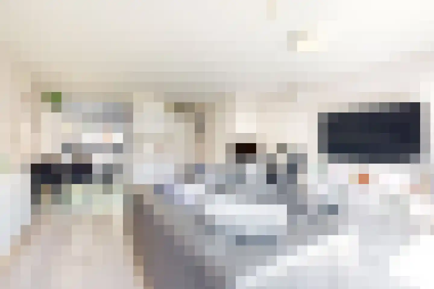 Willame Naghelstraat 7 Voorhout thumbnail 8