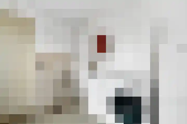 Willebrandt van Oldenburgstraat 32 Hardenberg thumbnail 22