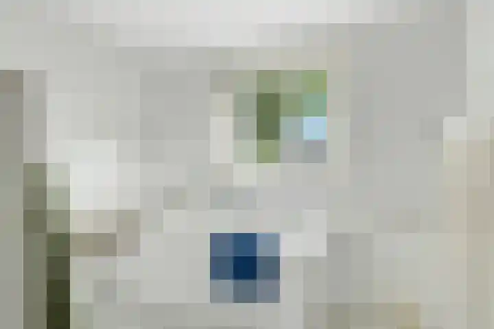 Willebrandt van Oldenburgstraat 32 Hardenberg thumbnail 34