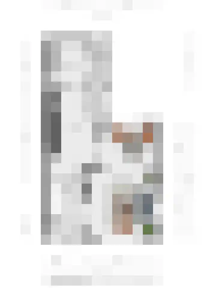 Willebrandt van Oldenburgstraat 32 Hardenberg thumbnail 48
