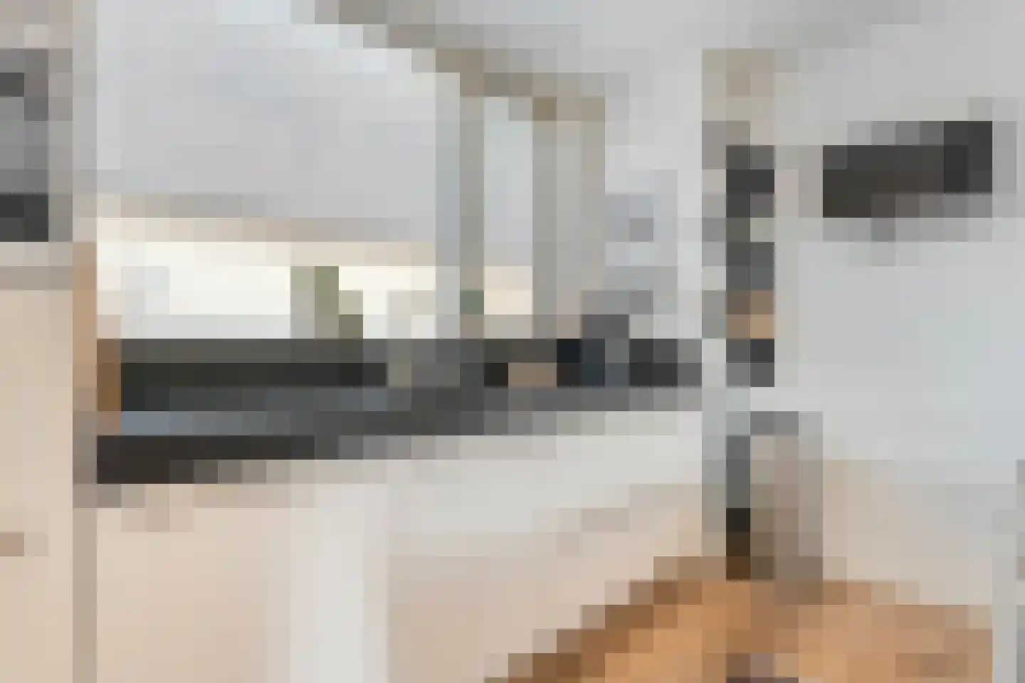 Willebrandt van Oldenburgstraat 36 Hardenberg thumbnail 20