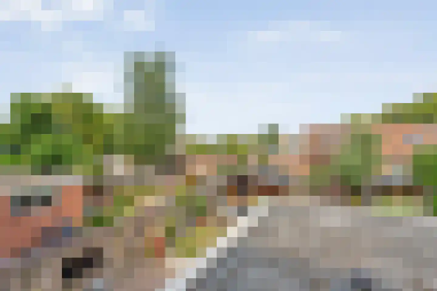 Willebrandt van Oldenburgstraat 36 Hardenberg thumbnail 35