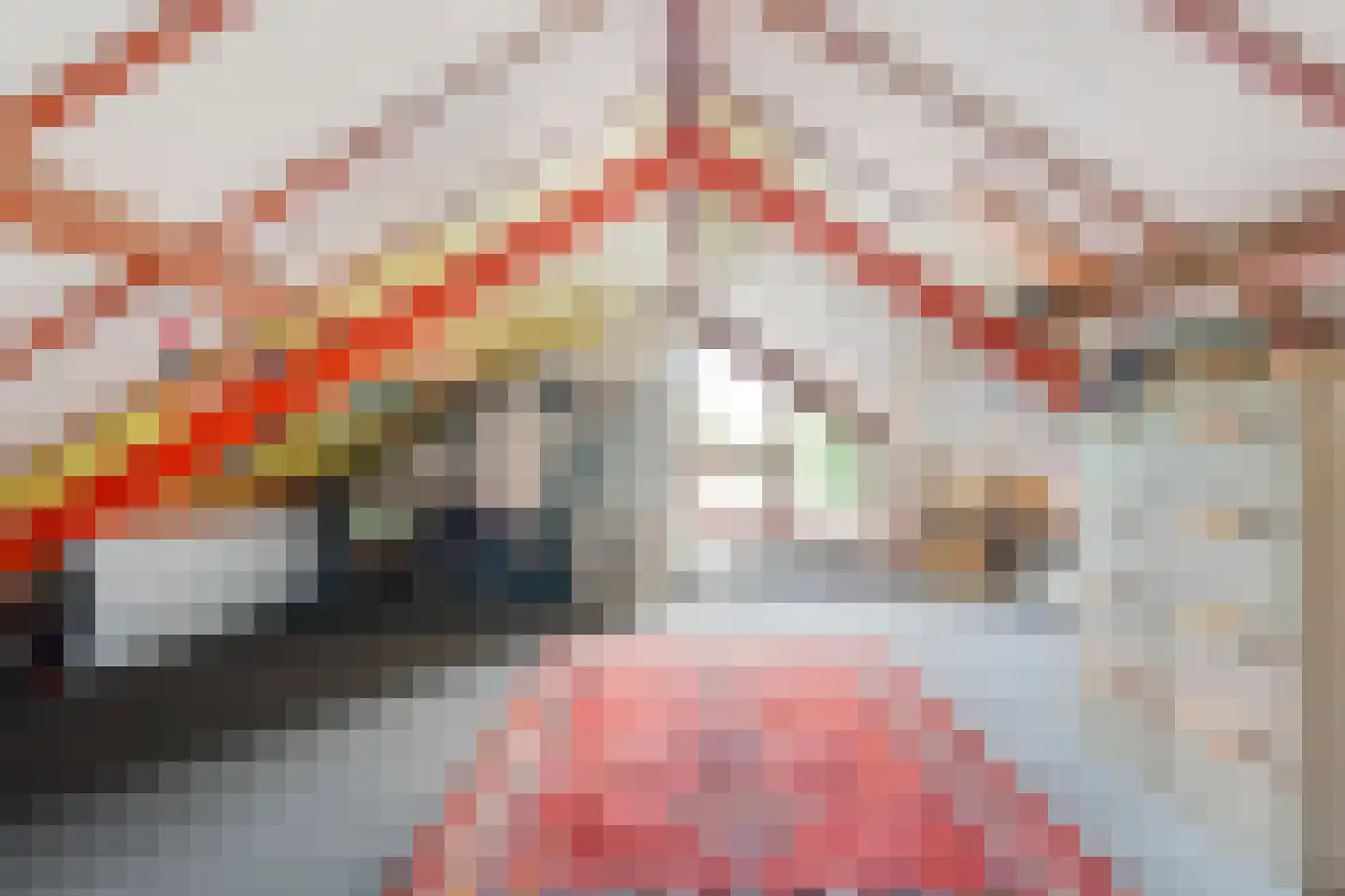 Willebrandt van Oldenburgstraat 36 Hardenberg thumbnail 43