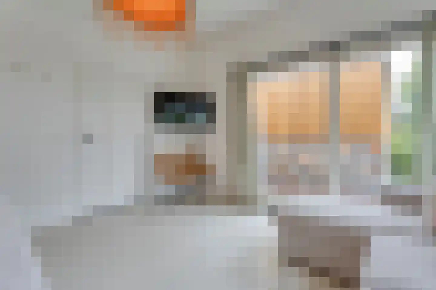 Willebrandt van Oldenburgstraat 5 a Hardenberg thumbnail 31