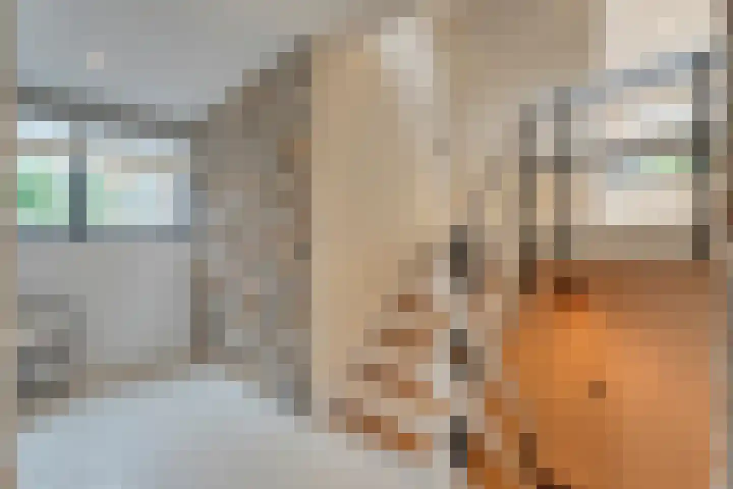 Willebrandt van Oldenburgstraat 5 a Hardenberg thumbnail 33