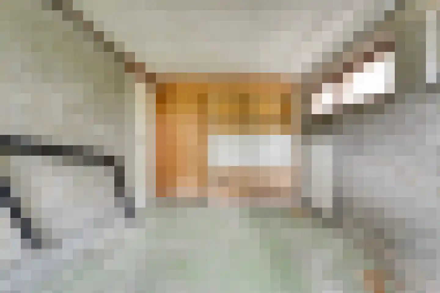 Willebrandt van Oldenburgstraat 5 a Hardenberg thumbnail 41