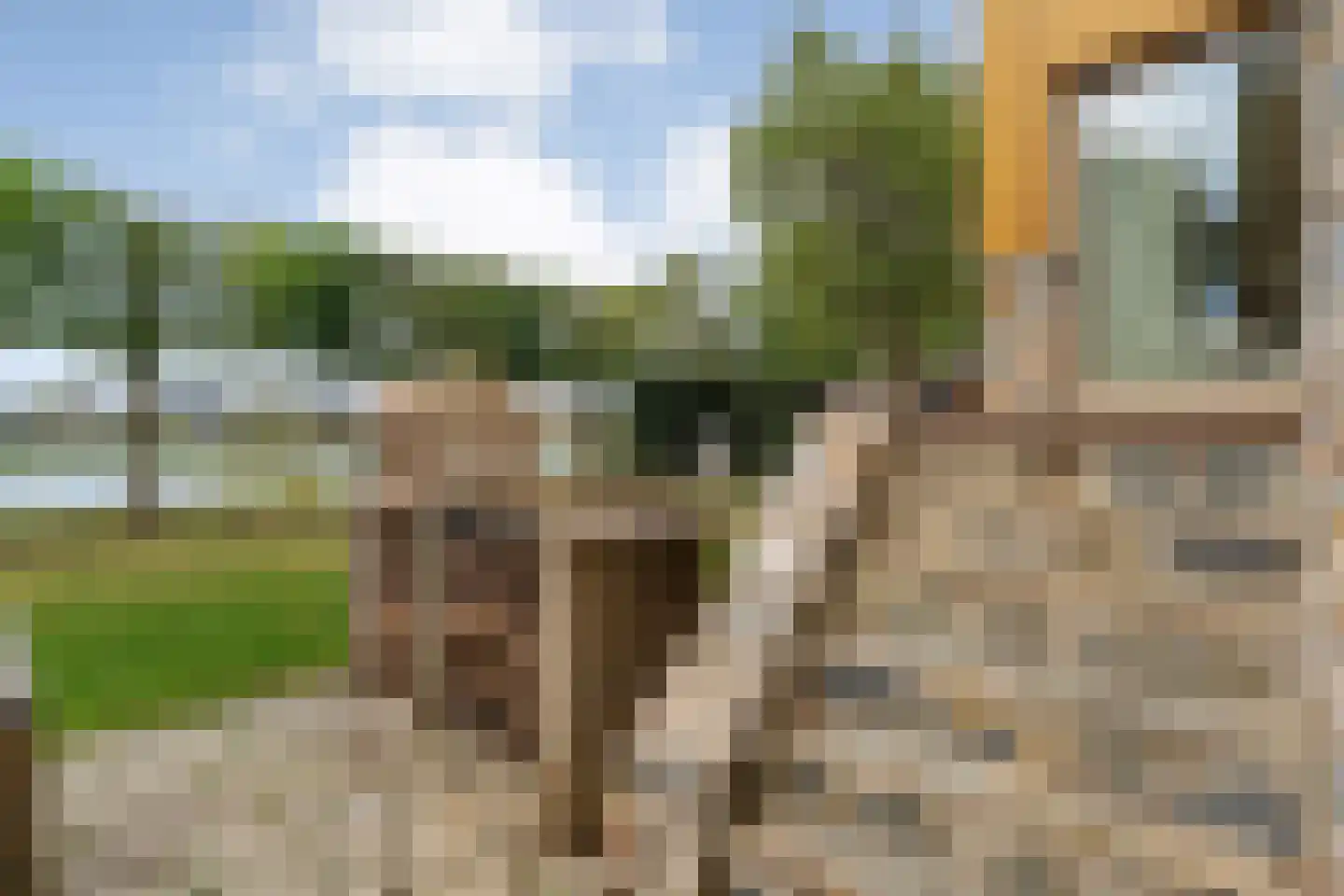 Willebrandt van Oldenburgstraat 5 a Hardenberg thumbnail 52