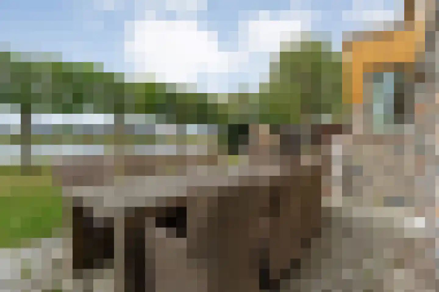 Willebrandt van Oldenburgstraat 5 a Hardenberg thumbnail 53