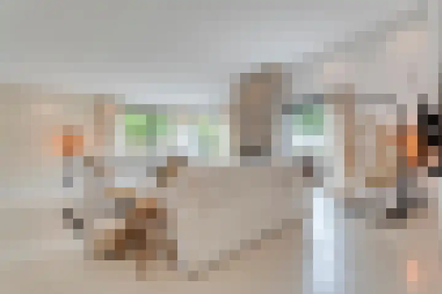 Willebrandt van Oldenburgstraat 5 a Hardenberg thumbnail 8