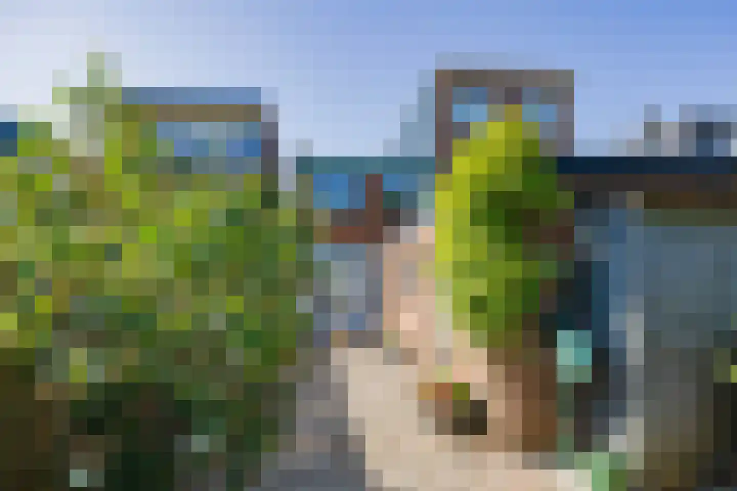 Willebrordstraat 11 IJmuiden thumbnail 31