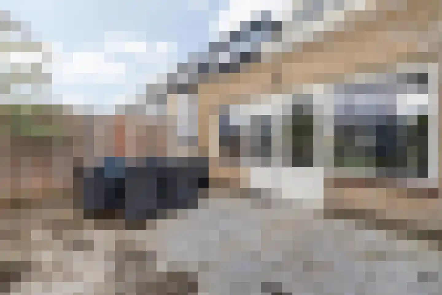 Willebrordstraat 30 Teteringen thumbnail 47