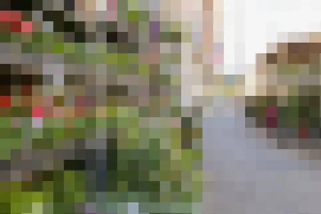 Willebrordusplein 13 J Rotterdam thumbnail 14