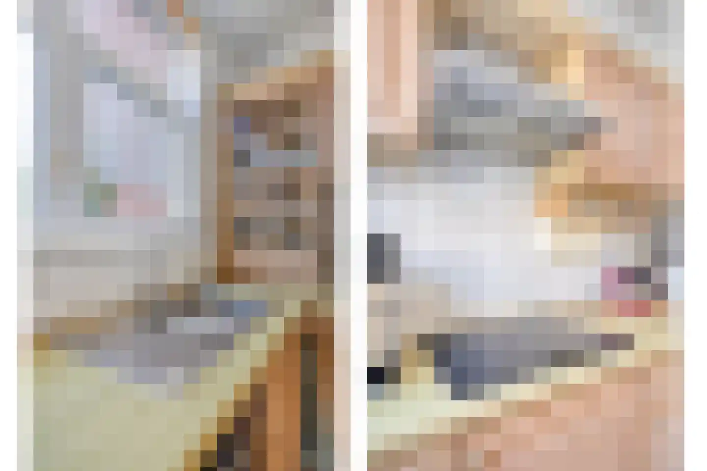 Willebrordusplein 30 Zoutelande thumbnail 8