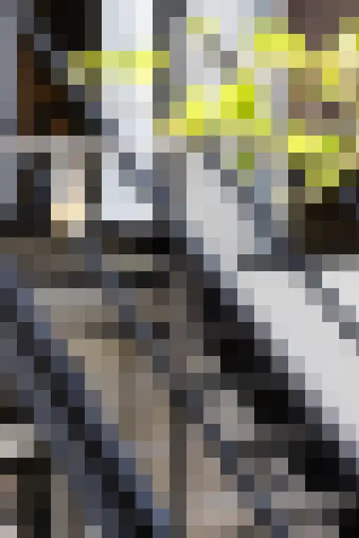 Willebrordusplein 9 B Rotterdam thumbnail 31