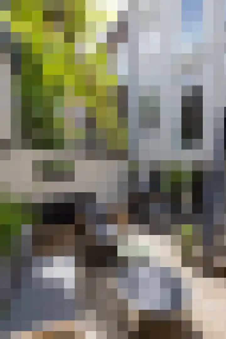 Willebrordusplein 9 B Rotterdam thumbnail 33