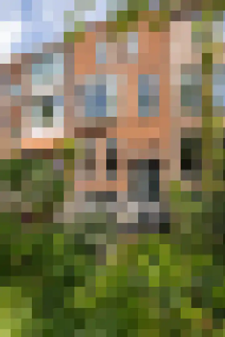 Willebrordusplein 9 B Rotterdam thumbnail 38
