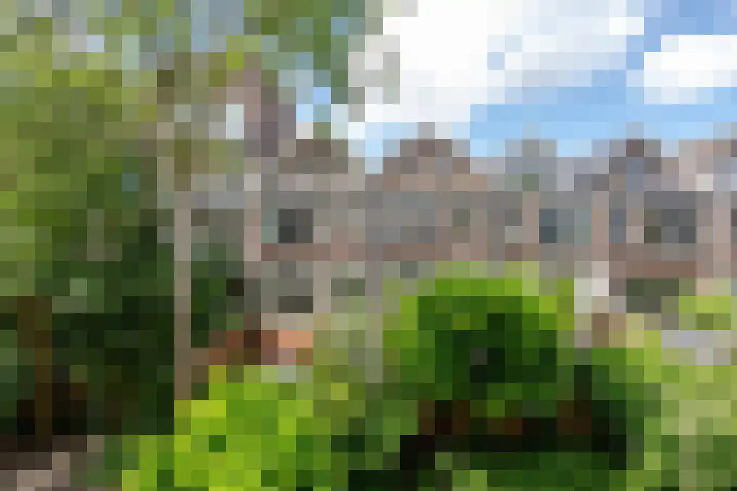Willebrordusstraat 133 B 01 Rotterdam thumbnail 26