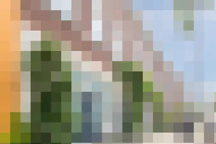 Willebrordusstraat 18 Rotterdam thumbnail 6