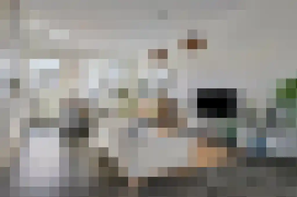 Willebrordusstraat 20 Rotterdam thumbnail 5