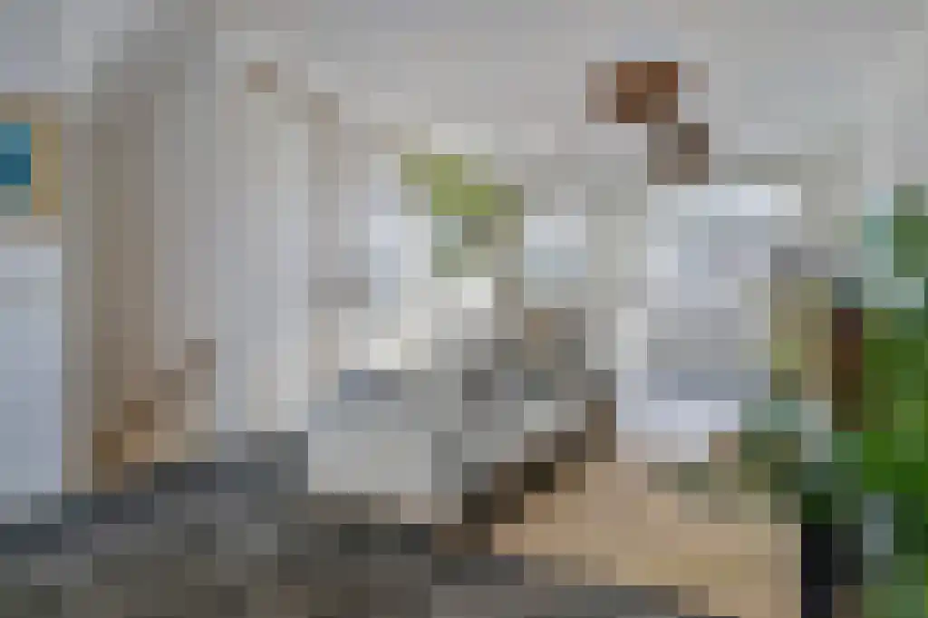 Willebrordusstraat 20 Rotterdam thumbnail 6