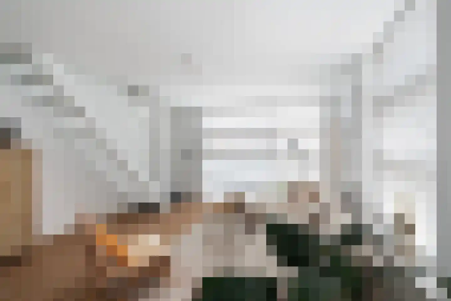 Willebrordusstraat 56 Rotterdam thumbnail 18