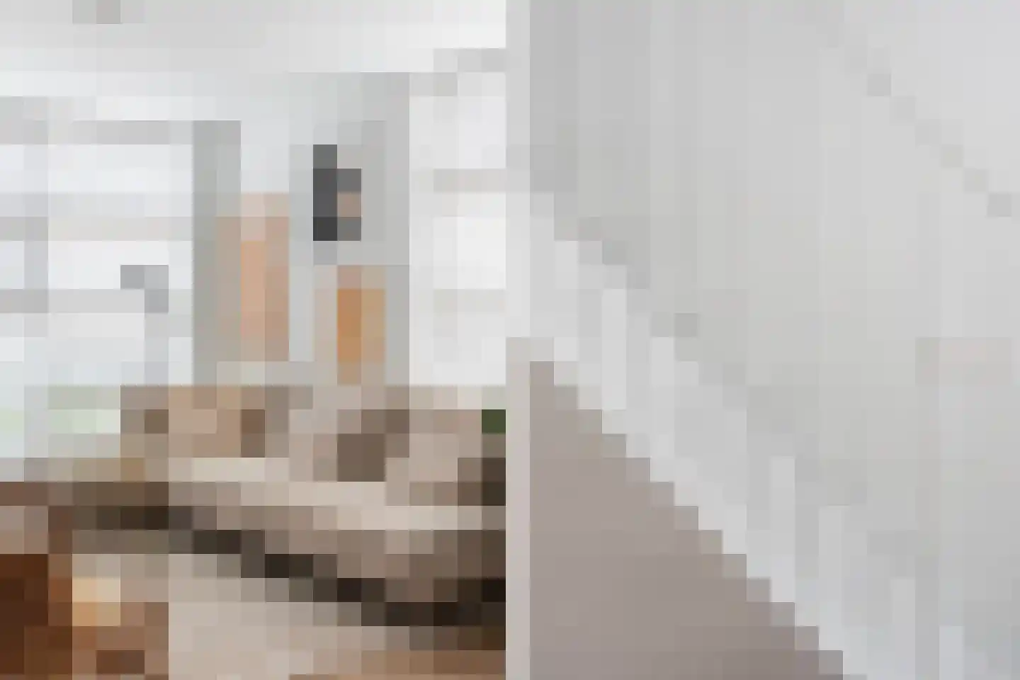Willebrordusstraat 56 Rotterdam thumbnail 20